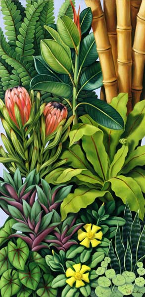 Foliage III, 2005 (oil on canvas)  de Catherine  Abel