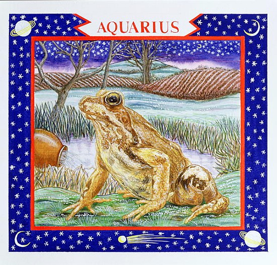 Aquarius (w/c on paper)  de Catherine  Bradbury