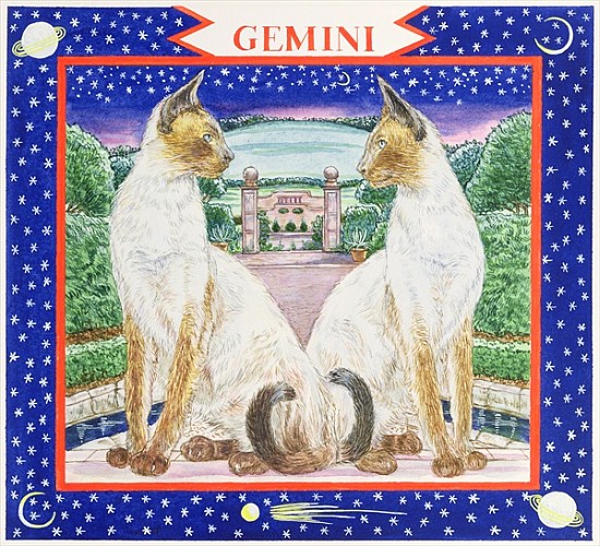 Gemini (w/c on paper)  de Catherine  Bradbury