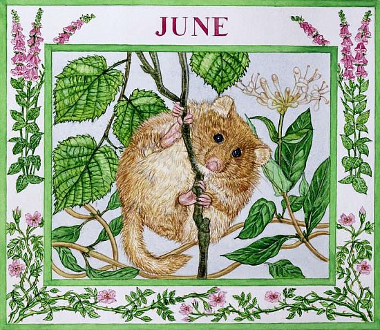 June (w/c on paper)  de Catherine  Bradbury