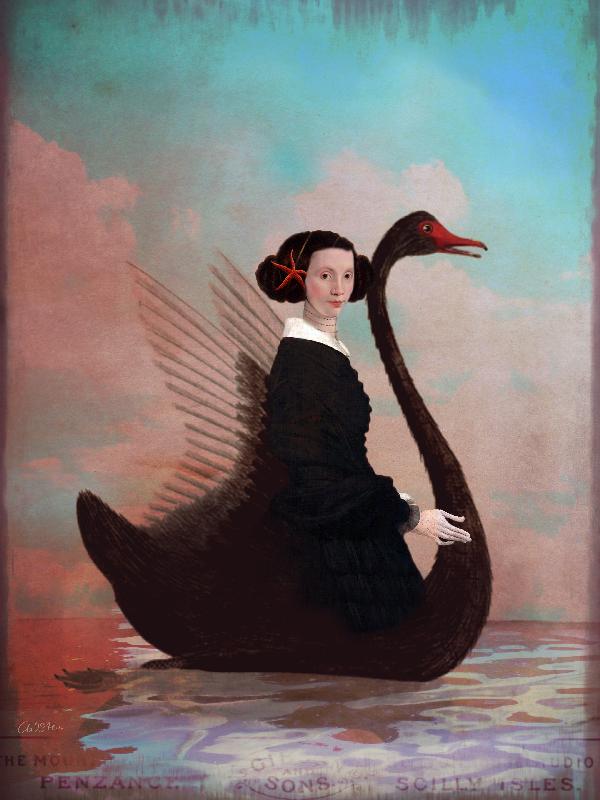 Black Swan de Catrin Welz-Stein