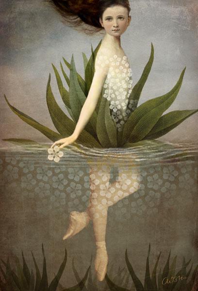 Nenúfar - Catrin Welz-Stein