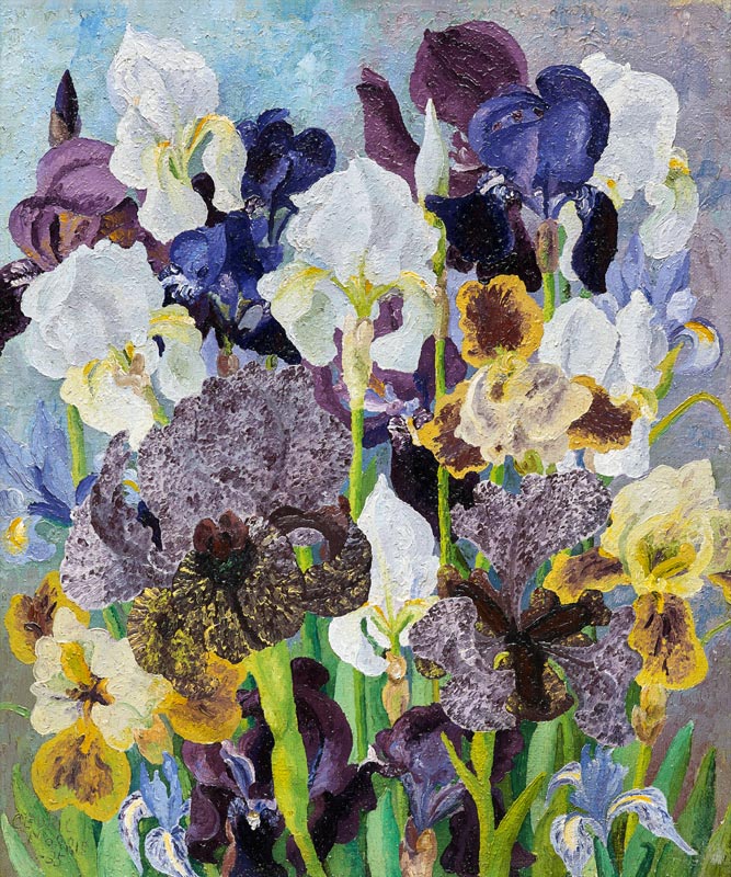 May Flowering Irises de Cedric Morris