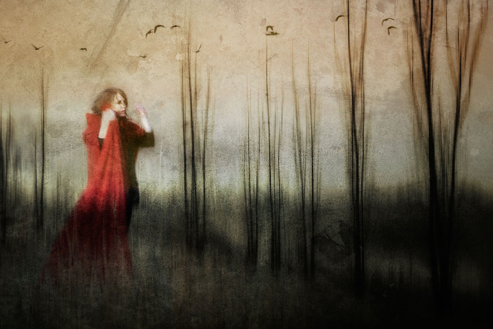 As a song in search of a voice that is silent de Charlaine Gerber