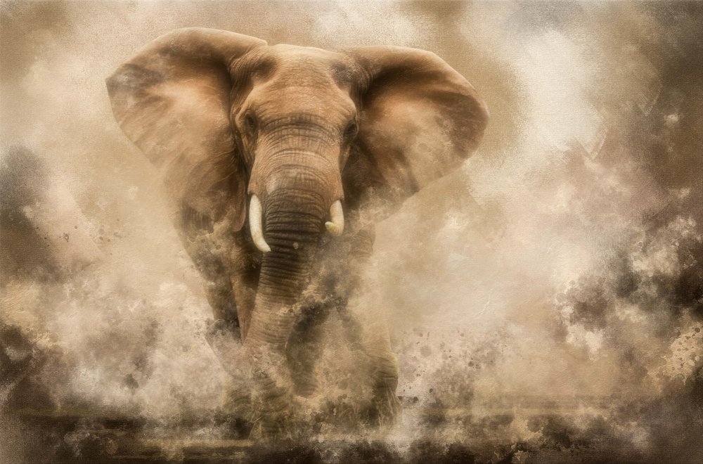 ...Raging Elephant Bull charging... de Charlaine Gerber