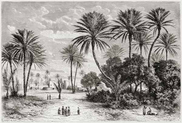Oasis of Gafsa: Tunis de Charles Barbant