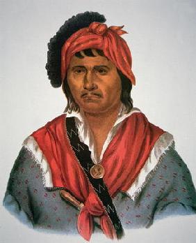 Neamathla Chief, 1826 (colour litho)