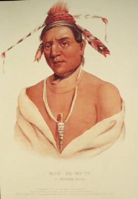 Portrait of Mar-Ko-Me-Te, A Menomene Brave