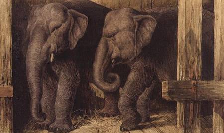 Two elephants de Charles Edward Brittan