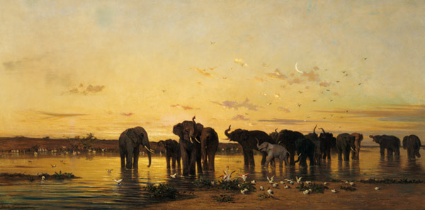 African Elephants de Charles Emile de Tournemine