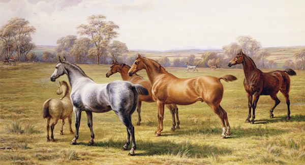 Horses and Foal in a Field de Charles Jones