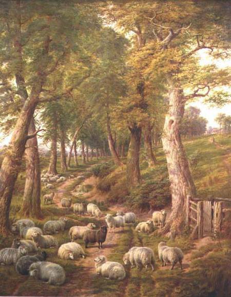 Landscape with Sheep de Charles Jones