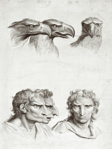 Similarities Between the Head of an Eagle and a Man, from 'Livre de portraiture pour ceux qui commen de Charles Le Brun