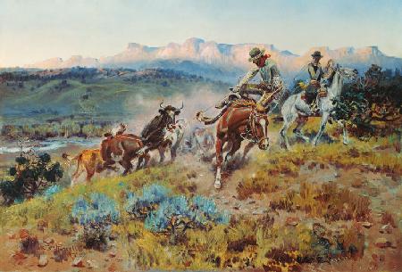 Cowboys when capturing a herd