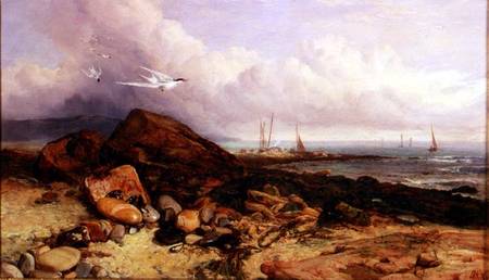 Shore Scene with Fishing Boat and Terns de Charles Napier Hemy