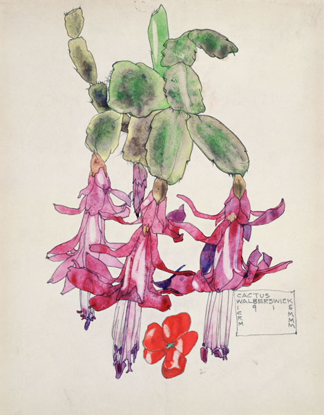 Cactus Flower de Charles Rennie Mackintosh