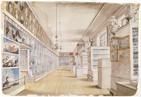 The Long Room, Interior of Front Room in Peale's Museum de Charles Willson Peale