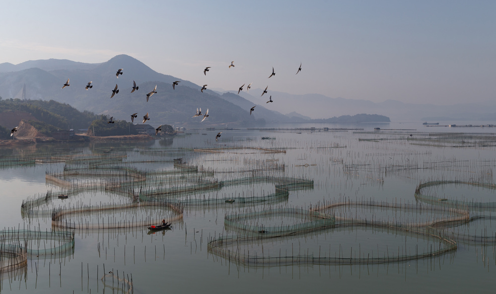 An aquaculture farm at Fuding de Cheng Chang