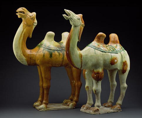 Two camels, Tang Dynasty (618-907) (glazed earthenware) de Chinese School