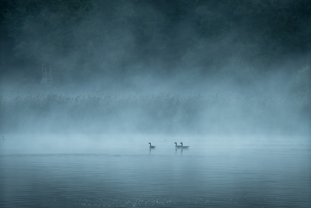 Dark and foggy lake de Christian Lindsten