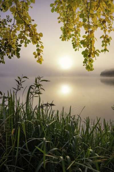 Morning light at the lake de Christian Lindsten