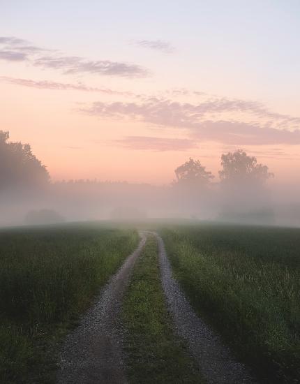 Foggy road