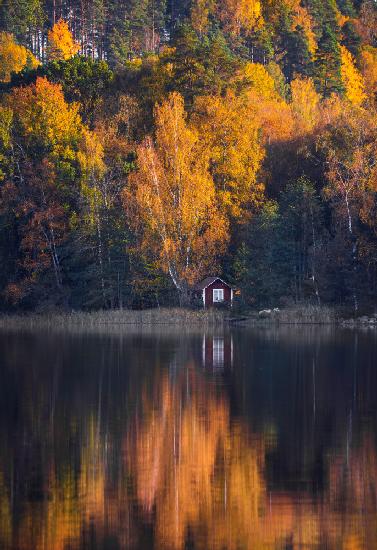 Lake house in autumn colors