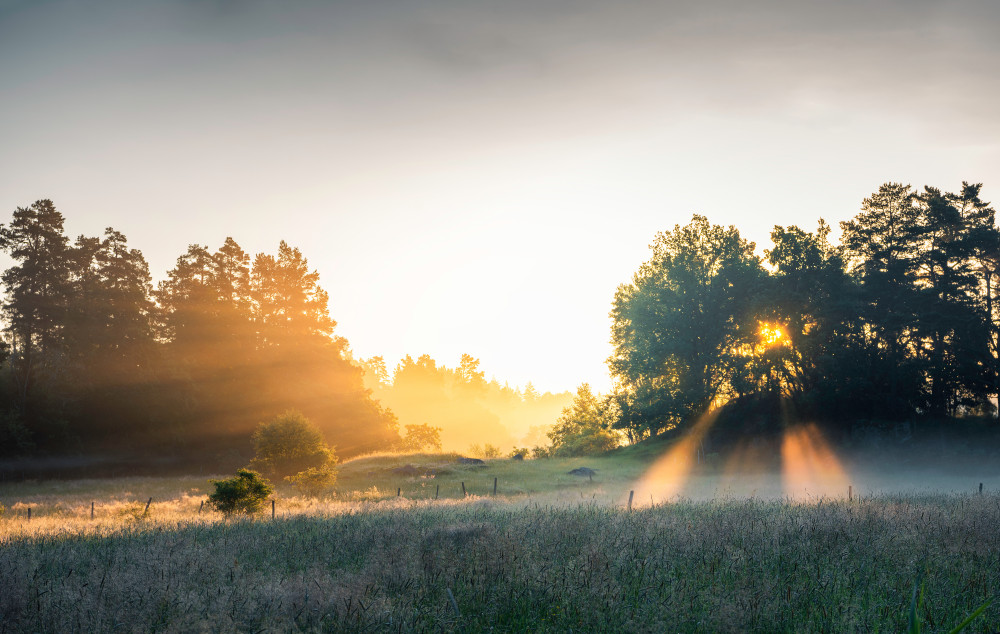 Summer field with sunrays de Christian Lindsten
