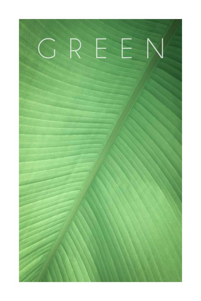 Green 01 de Christian Müringer