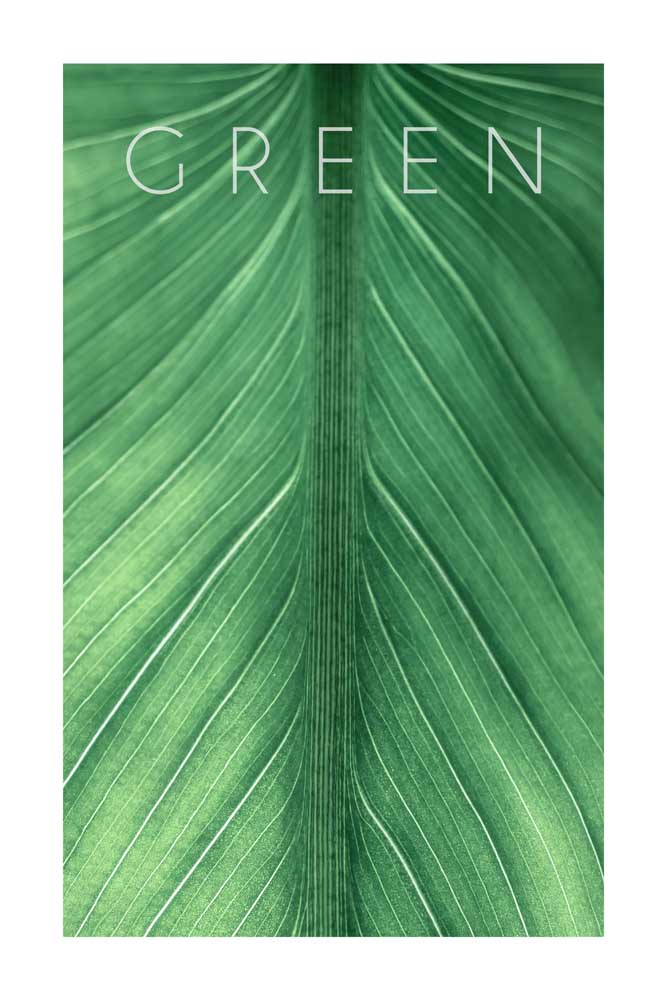 Green 03 de Christian Müringer