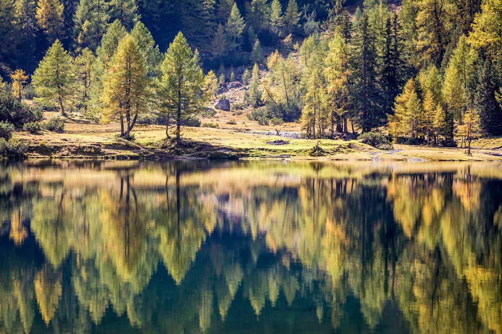 Autumn forest at the Duisitzkarsee in the Schladming Mountains de Christian Müringer