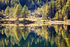 Autumn forest at the Duisitzkarsee in the Schladming Mountains