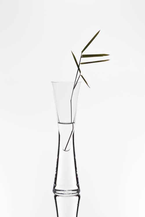 bamboo de Christian Pabst