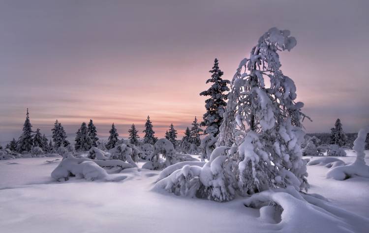 Lappland - winterwonderland de Christian Schweiger