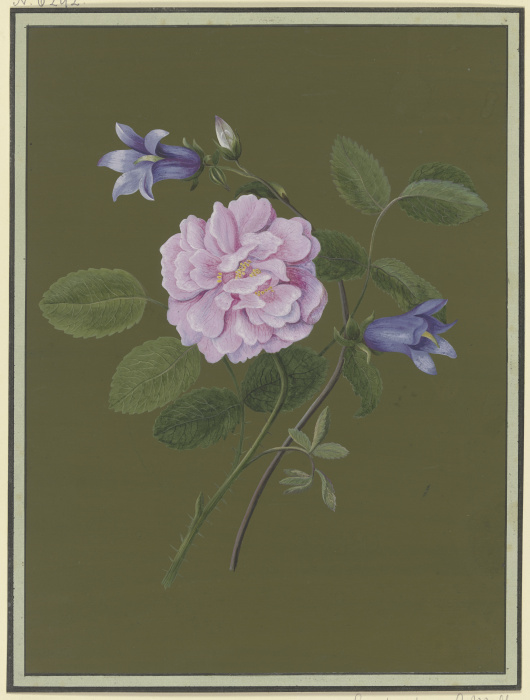 Rose and bluebells de Christiane Friederike Stricker