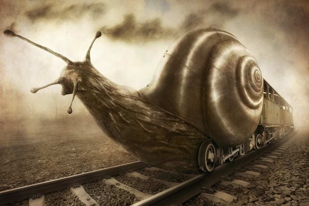 Snail Mail de Christophe Kiciak