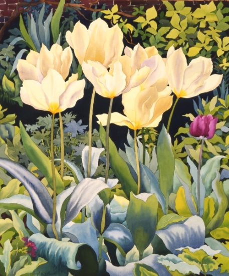 Pale Tulips de Christopher  Ryland