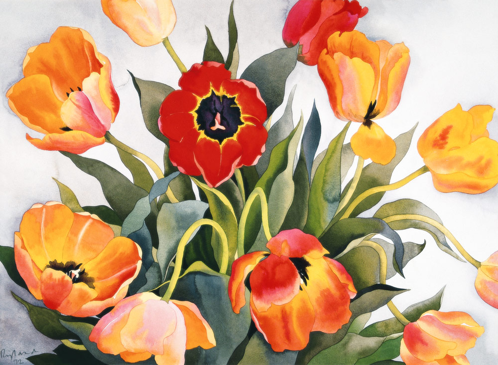 Orange and Red Tulips (w/c)  de Christopher  Ryland