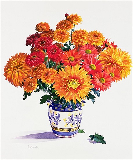 October Chrysanthemums (w/c on paper)  de Christopher  Ryland