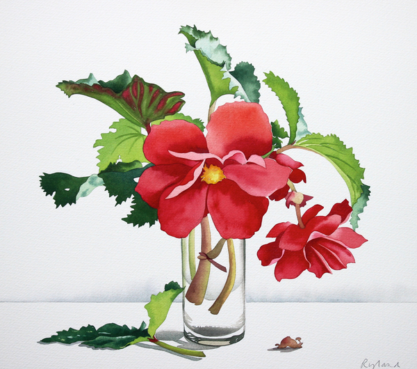 Red Begonia de Christopher  Ryland