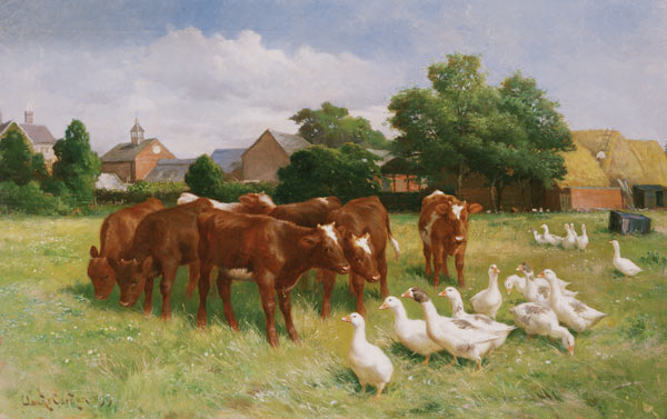 Cows and Ducks de Claude Cardon