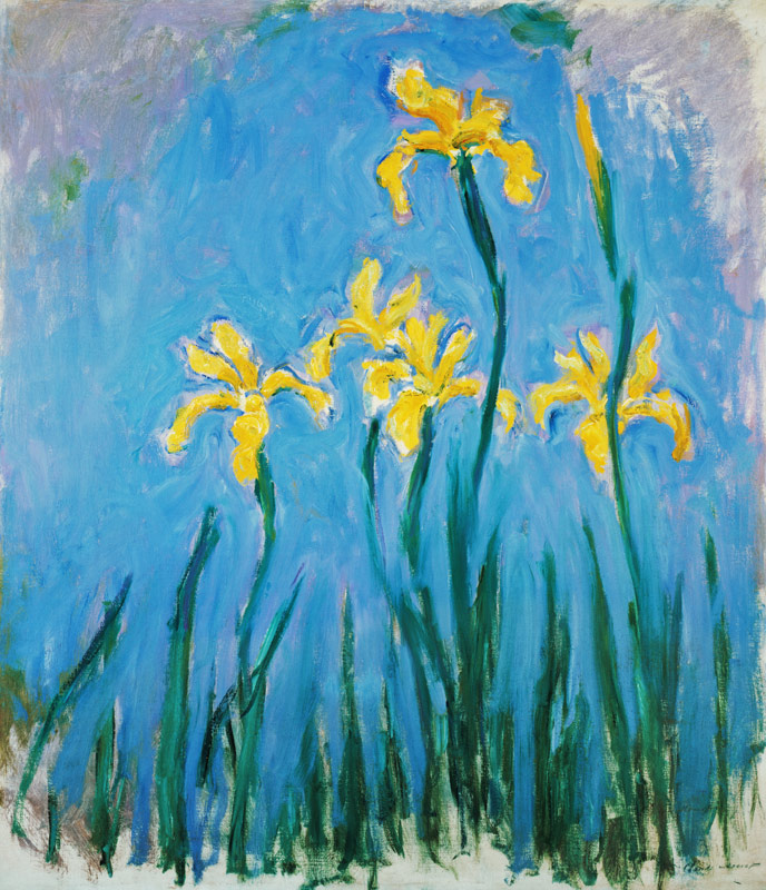 Yellow Iris. de Claude Monet