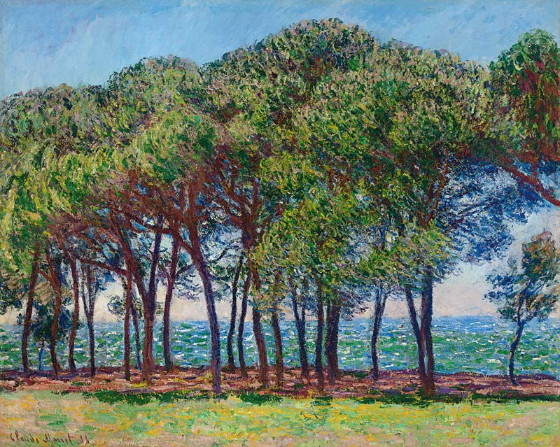 Kiefern am Cap d'Antibes de Claude Monet