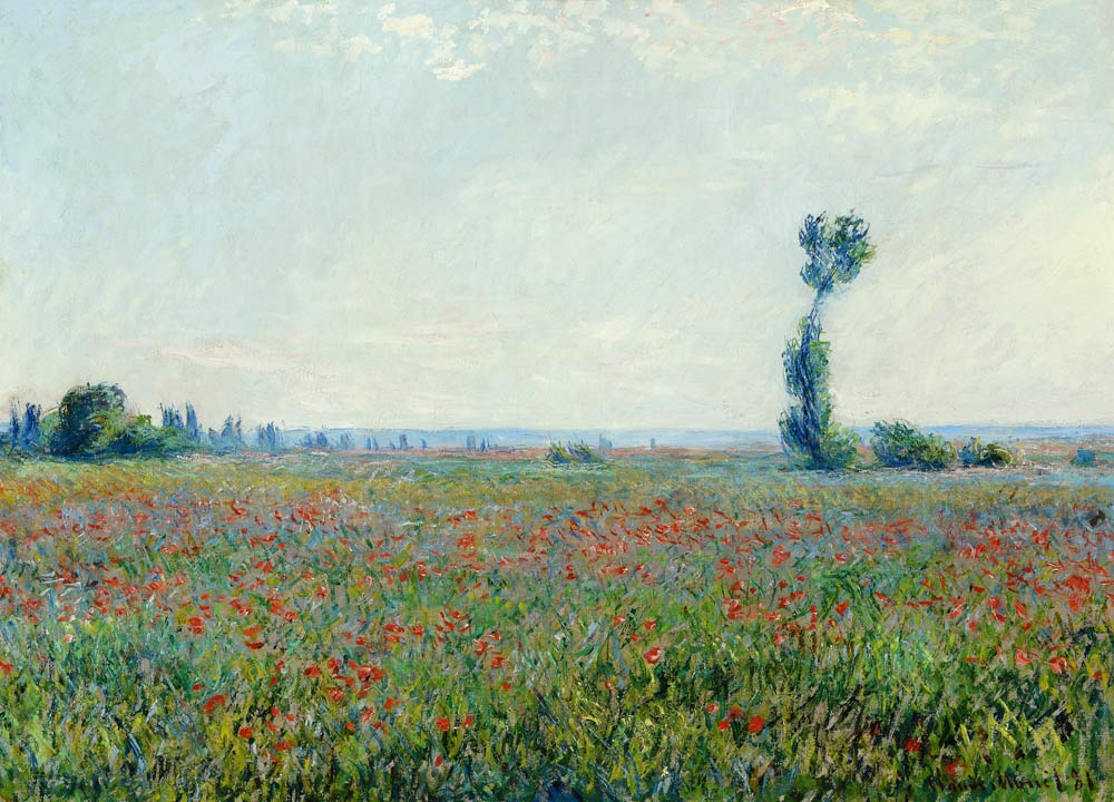 Poppy field de Claude Monet