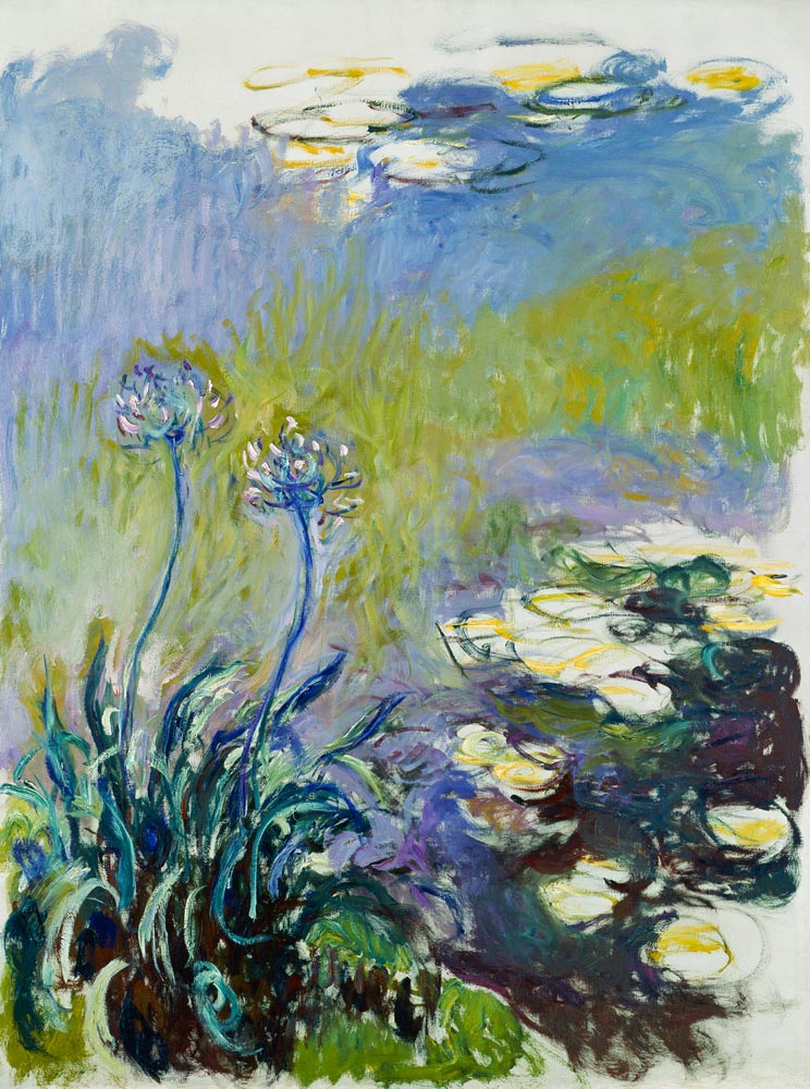 The Agapanthus de Claude Monet