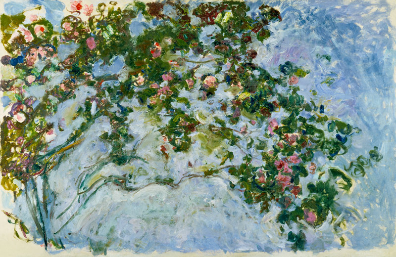 The Roses de Claude Monet