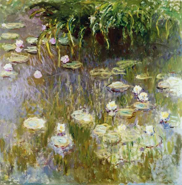 Waterlilies at Midday de Claude Monet