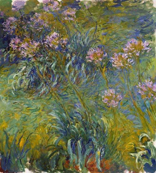 Agapanthus de Claude Monet