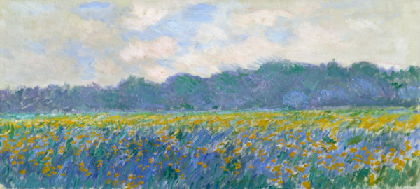 Field of Yellow Irises at Giverny de Claude Monet