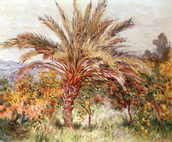 Palm Tree at Bordighera de Claude Monet